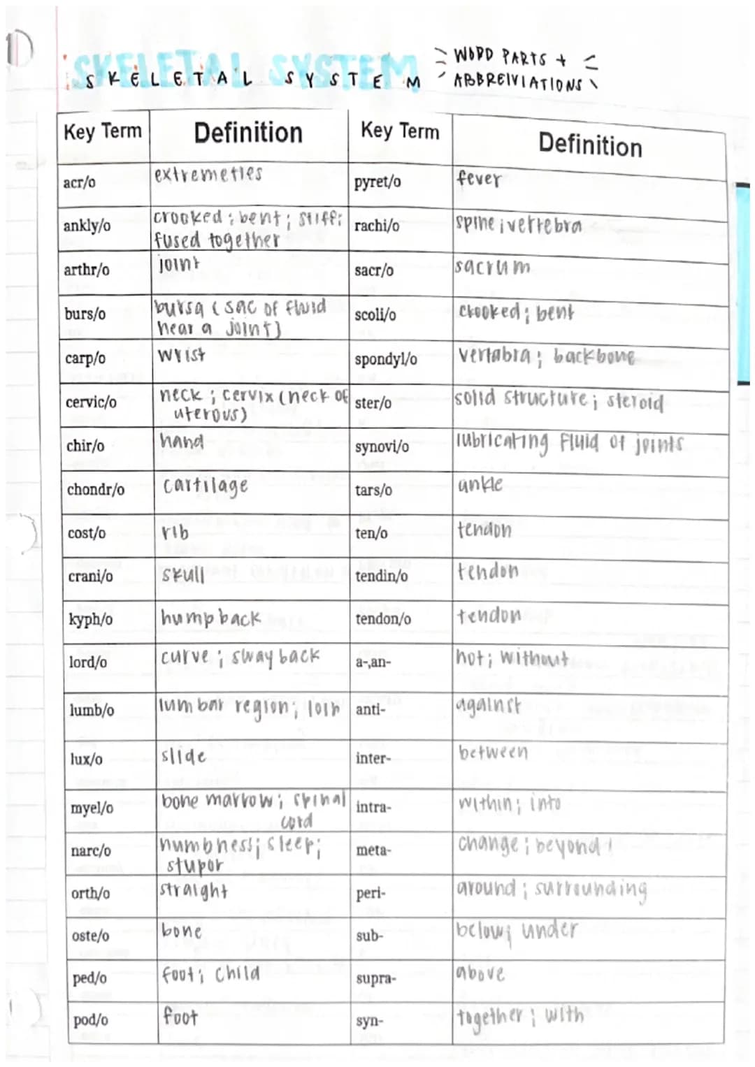 
<p>The skeletal system uses specific word parts, including prefixes and suffixes, to describe various anatomical structures and medical con