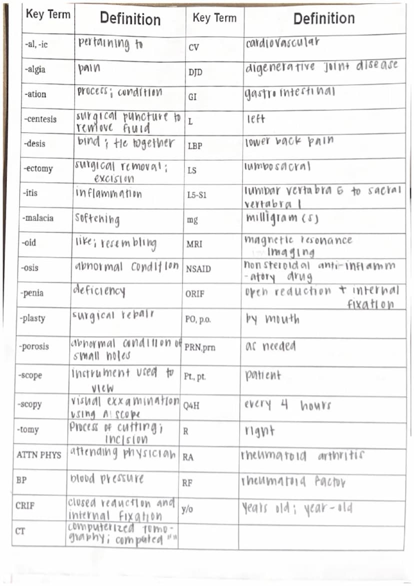 
<p>The skeletal system uses specific word parts, including prefixes and suffixes, to describe various anatomical structures and medical con