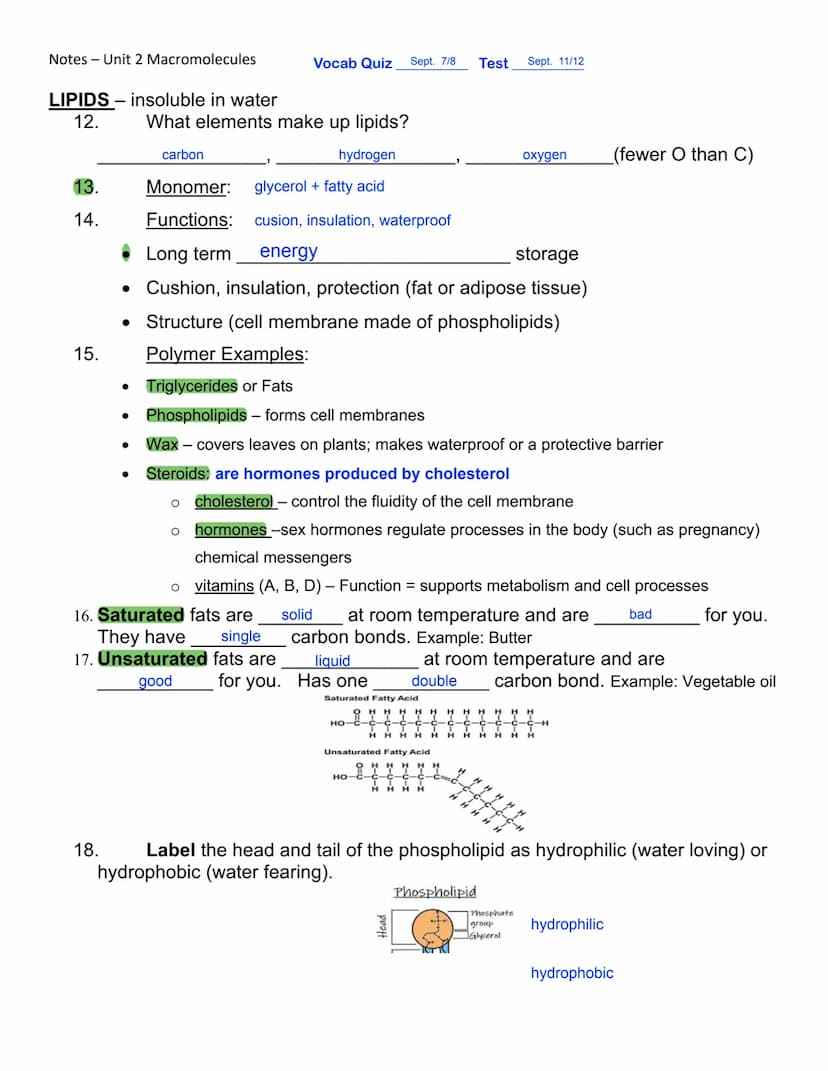 Notes - Unit 2 Macromolecules
1. The prefix_macro
2. What does that tell you about the size of macromolecules? they are large, / complex
5.
