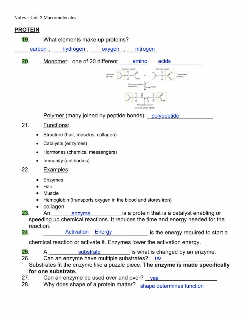 Notes - Unit 2 Macromolecules
1. The prefix_macro
2. What does that tell you about the size of macromolecules? they are large, / complex
5.
