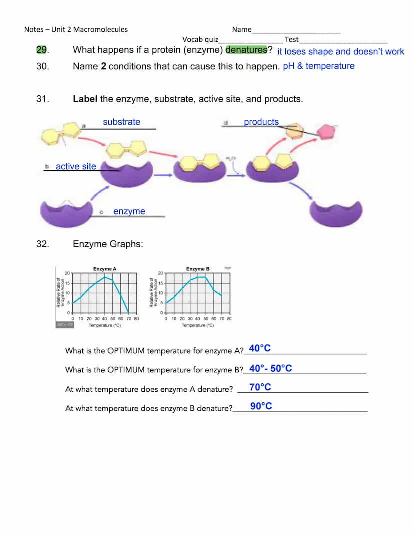 Notes - Unit 2 Macromolecules
1. The prefix_macro
2. What does that tell you about the size of macromolecules? they are large, / complex
5.

