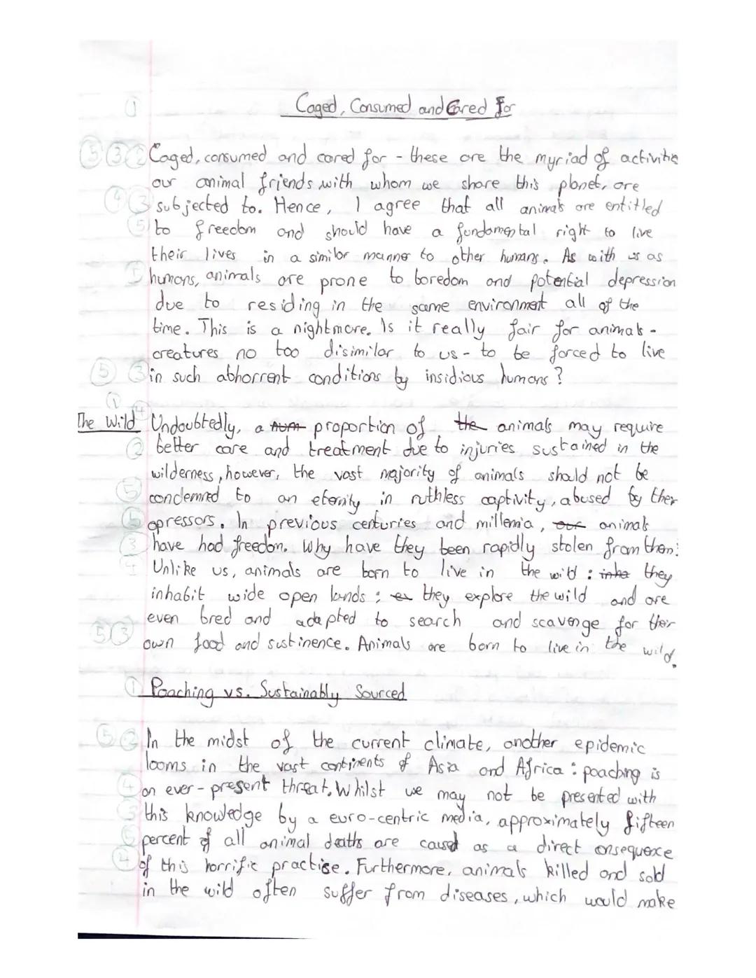 English Paper 2 Writing Example