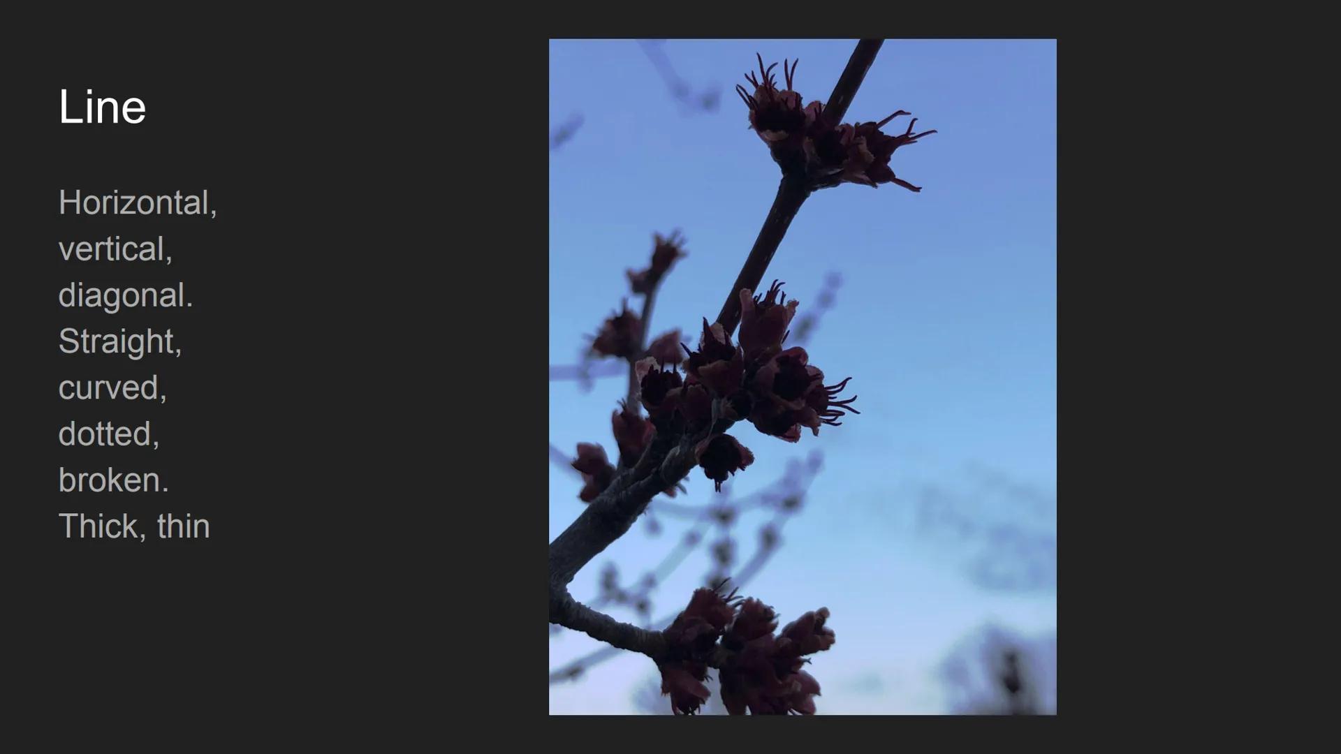 The Elements and
Principles of Design
Cecilya Guilbault 2nd hour Line
Horizontal,
vertical,
diagonal.
Straight,
curved,
dotted,
broken.
Thic