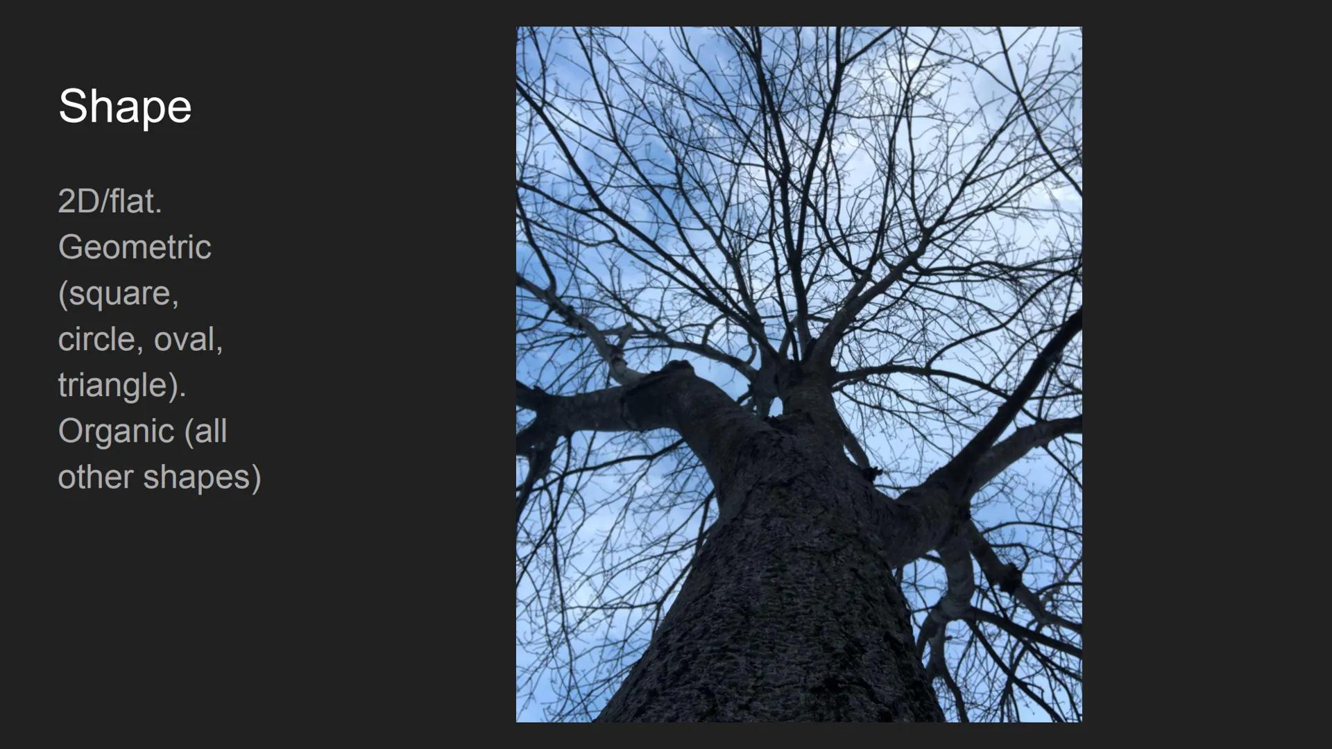 The Elements and
Principles of Design
Cecilya Guilbault 2nd hour Line
Horizontal,
vertical,
diagonal.
Straight,
curved,
dotted,
broken.
Thic