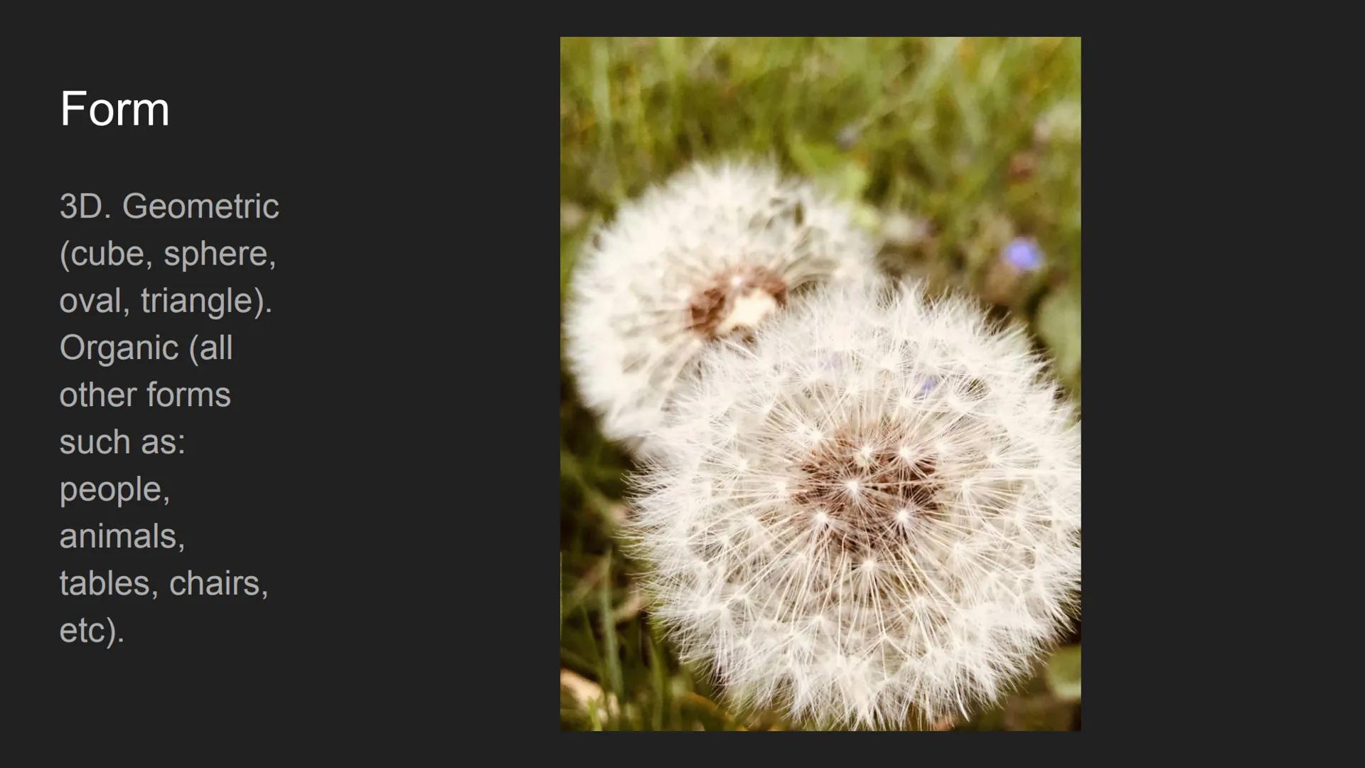 The Elements and
Principles of Design
Cecilya Guilbault 2nd hour Line
Horizontal,
vertical,
diagonal.
Straight,
curved,
dotted,
broken.
Thic