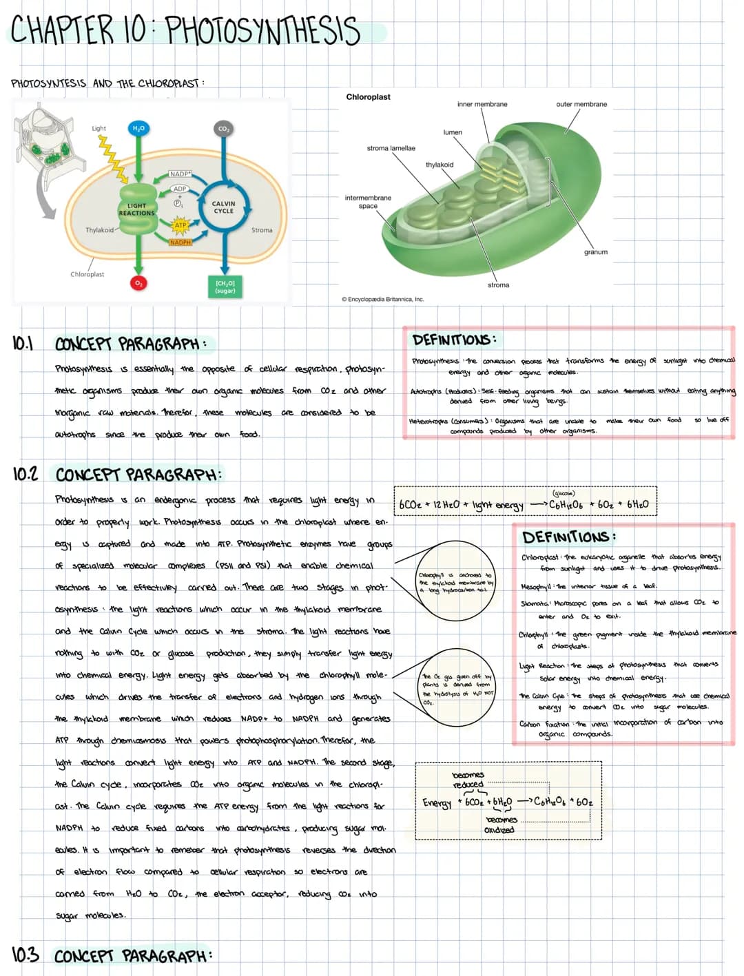 CHAPTER 10: PHOTOSYNTHESIS
PHOTOSYNTESIS AND THE CHLOROPLAST:
10.1
10.2
Light
Thylakoid
Chloroplast
cules
H₂O
reactions to
LIGHT
REACTIONS
0