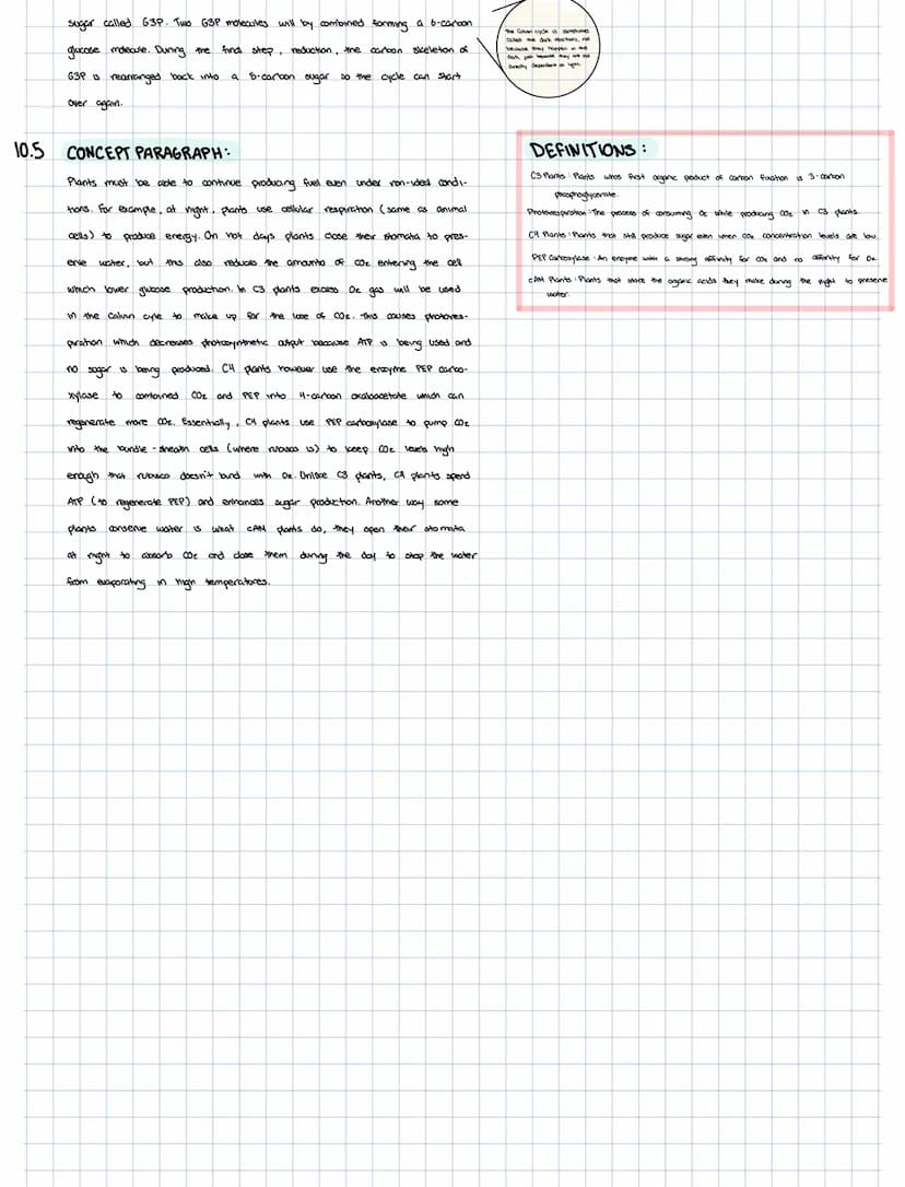 CHAPTER 10: PHOTOSYNTHESIS
PHOTOSYNTESIS AND THE CHLOROPLAST:
10.1
10.2
Light
Thylakoid
Chloroplast
cules
H₂O
reactions to
LIGHT
REACTIONS
0