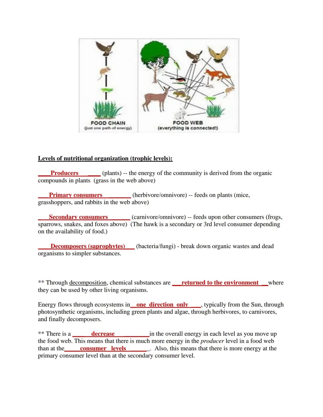 Ecology
The study of the interactions of living things with each other and the non-living environment.
Levels of Ecological Organization:
co