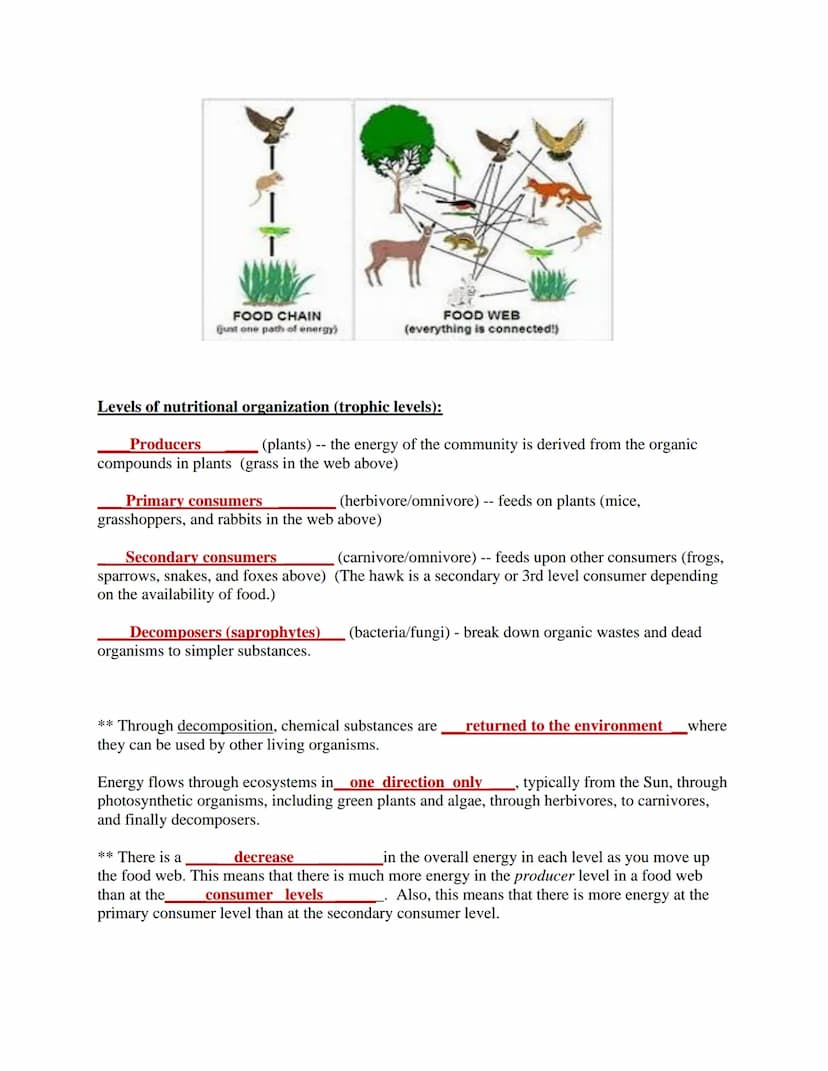Ecology
The study of the interactions of living things with each other and the non-living environment.
Levels of Ecological Organization:
co
