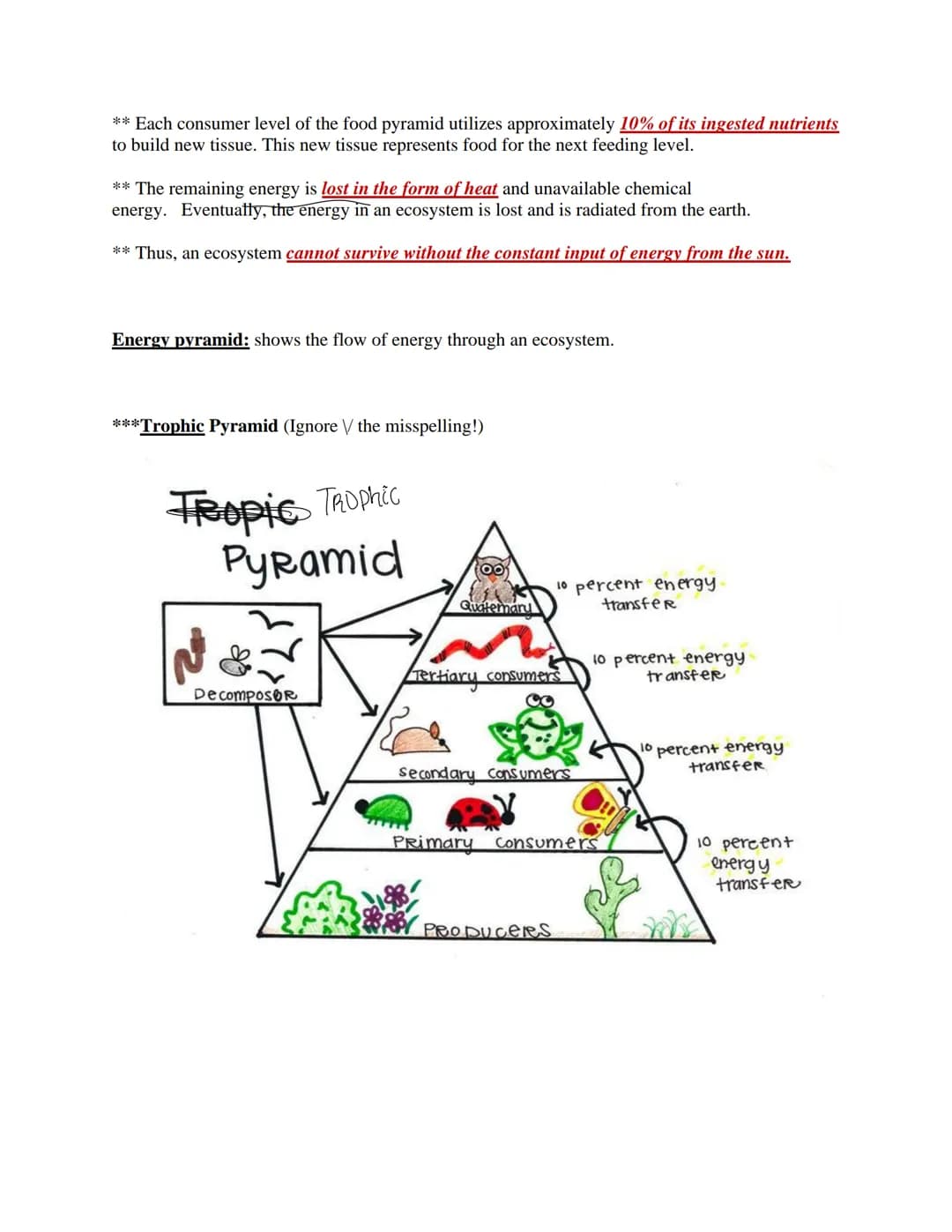 Ecology
The study of the interactions of living things with each other and the non-living environment.
Levels of Ecological Organization:
co