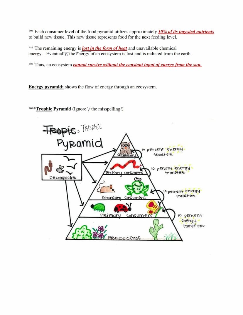 Ecology
The study of the interactions of living things with each other and the non-living environment.
Levels of Ecological Organization:
co