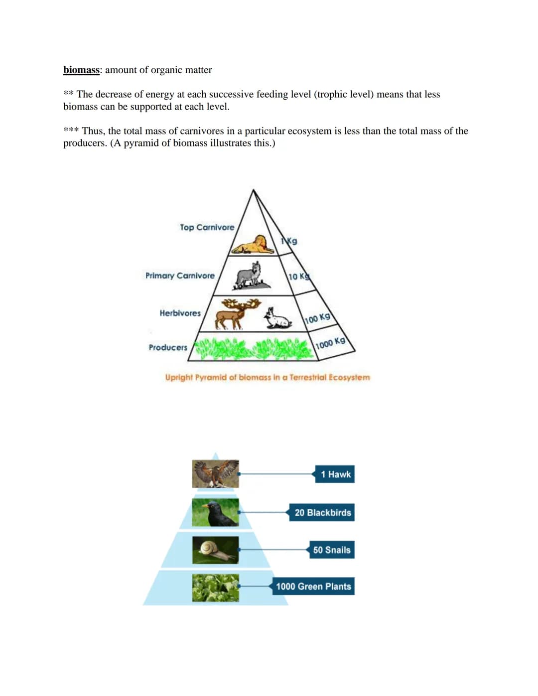 Ecology
The study of the interactions of living things with each other and the non-living environment.
Levels of Ecological Organization:
co