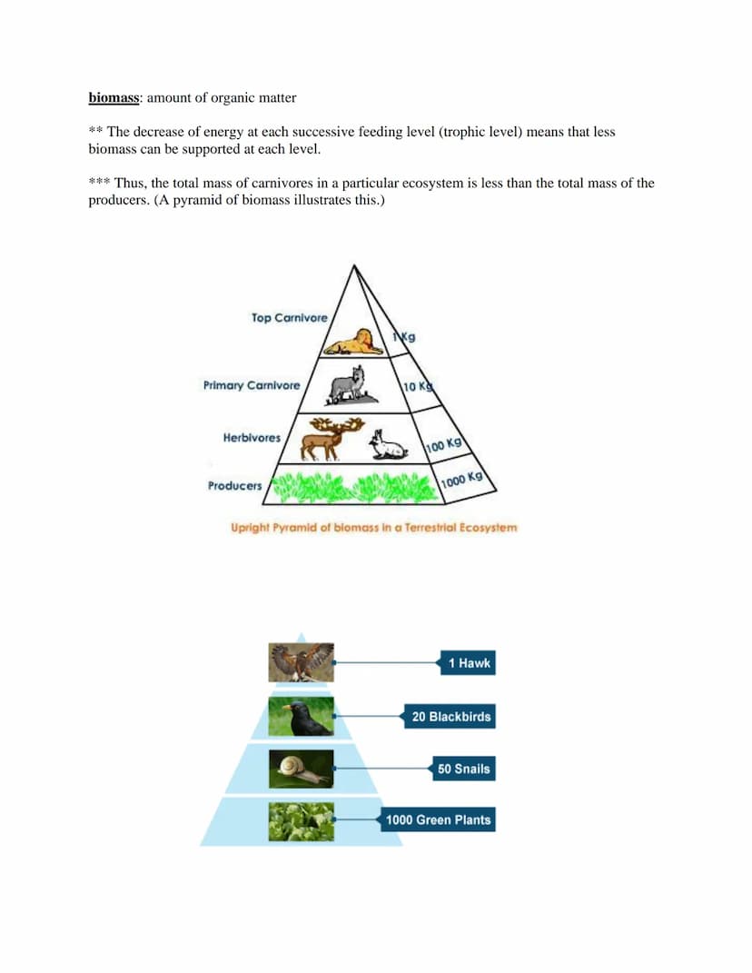 Ecology
The study of the interactions of living things with each other and the non-living environment.
Levels of Ecological Organization:
co