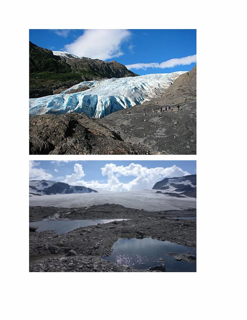 Ecology
The study of the interactions of living things with each other and the non-living environment.
Levels of Ecological Organization:
co