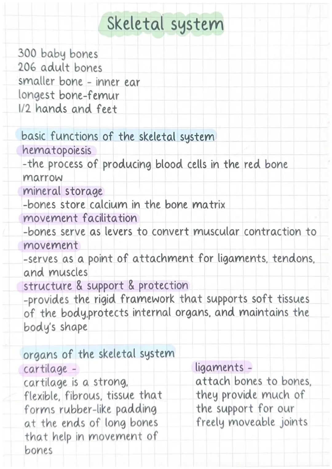 Functions of the Skeletal System