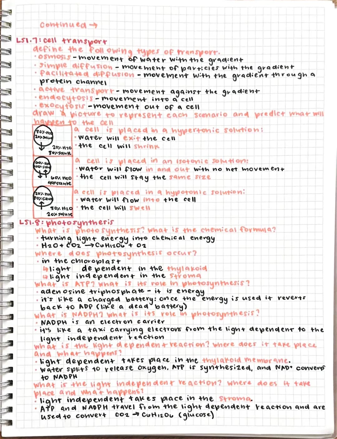 biology midterm study guide
LSI.1: characteristics of living things
What are the characteristics of living things?
• made up of one
or more 