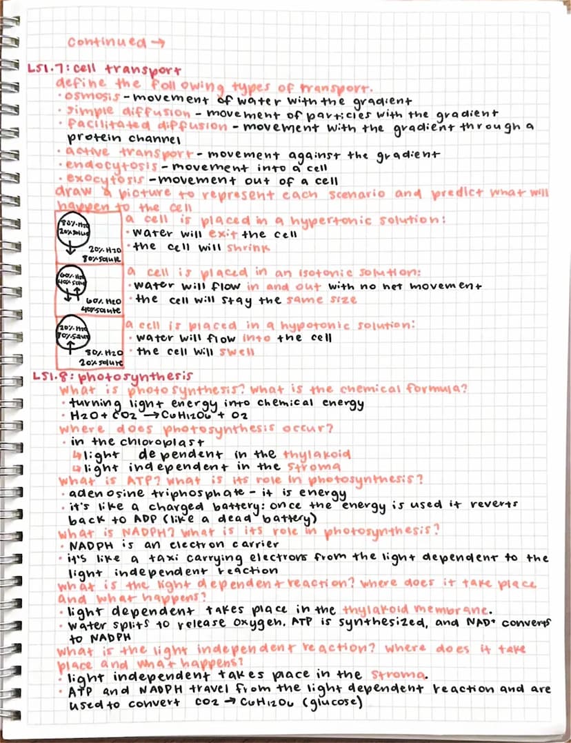 biology midterm study guide
LSI.1: characteristics of living things
What are the characteristics of living things?
• made up of one
or more 