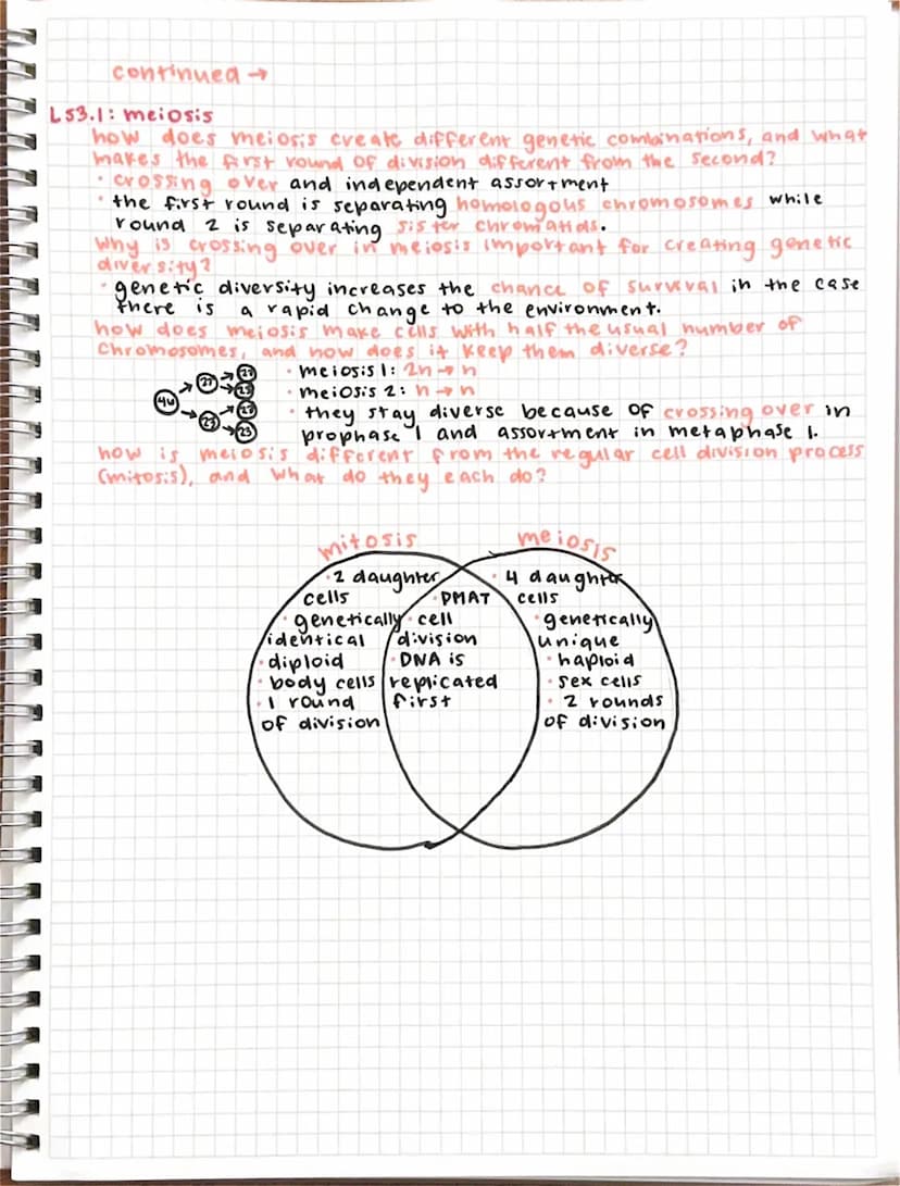 biology midterm study guide
LSI.1: characteristics of living things
What are the characteristics of living things?
• made up of one
or more 
