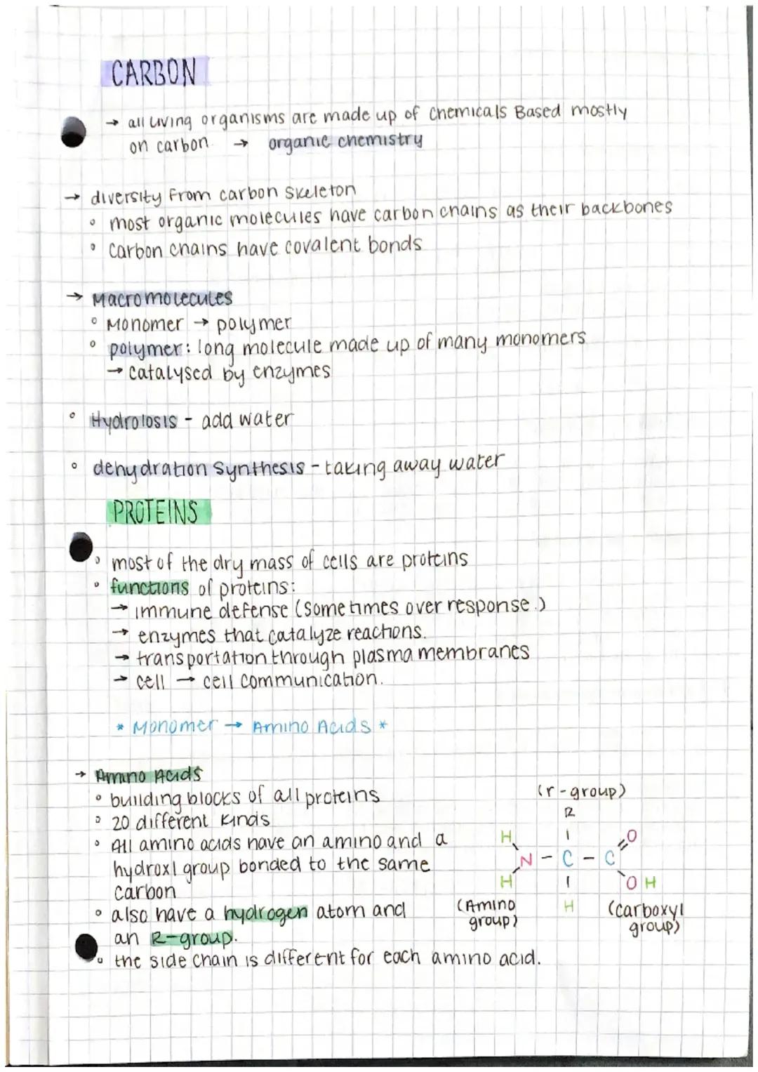 Fun Guide to Carbon-Based Chemistry and Protein Structures