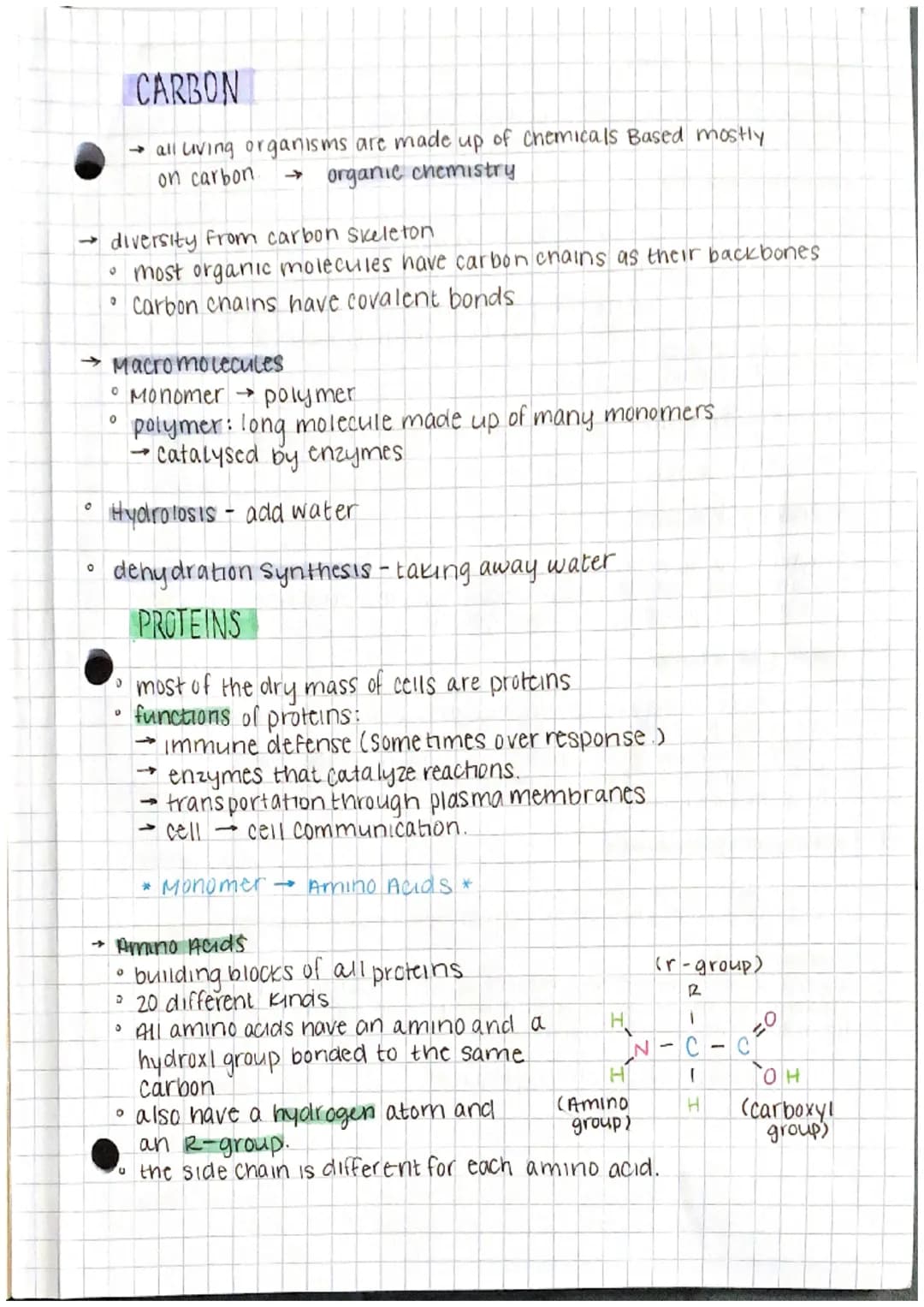 
<p>Macromolecules are the large, complex molecules that are essential for life. They are diverse and rely heavily on the carbon skeleton fo