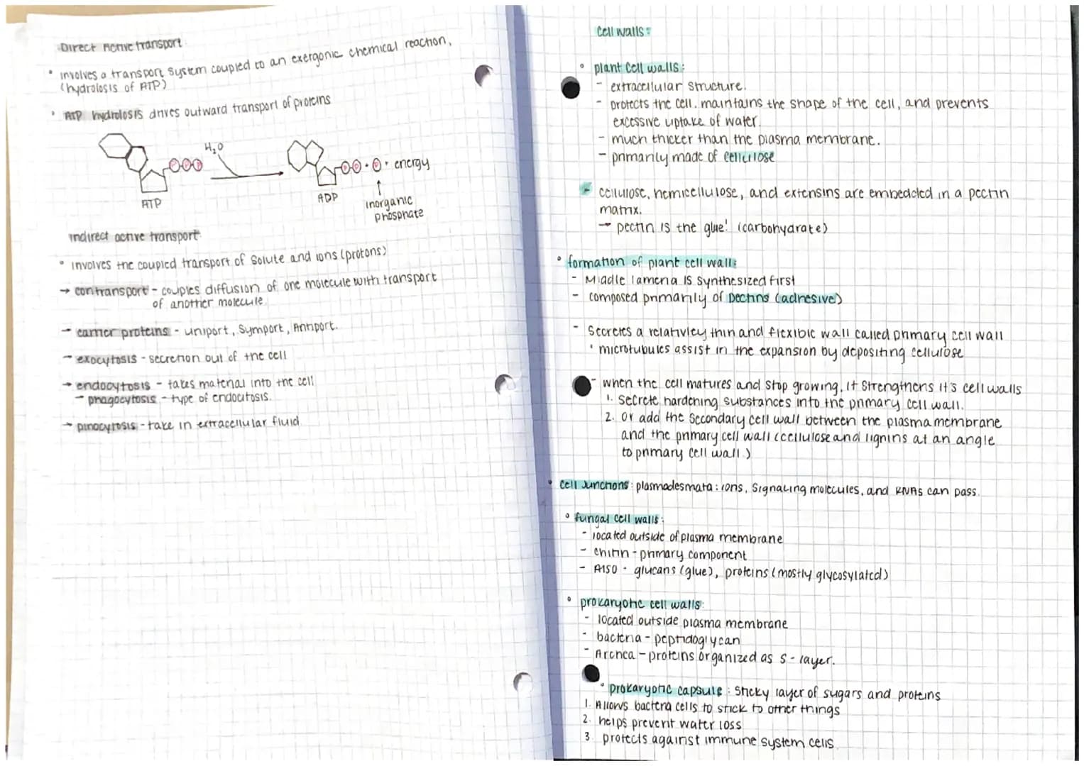 
<p>Macromolecules are the large, complex molecules that are essential for life. They are diverse and rely heavily on the carbon skeleton fo