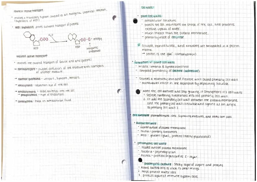 
<p>Macromolecules are the large, complex molecules that are essential for life. They are diverse and rely heavily on the carbon skeleton fo
