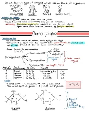 Know carbohydrates  thumbnail