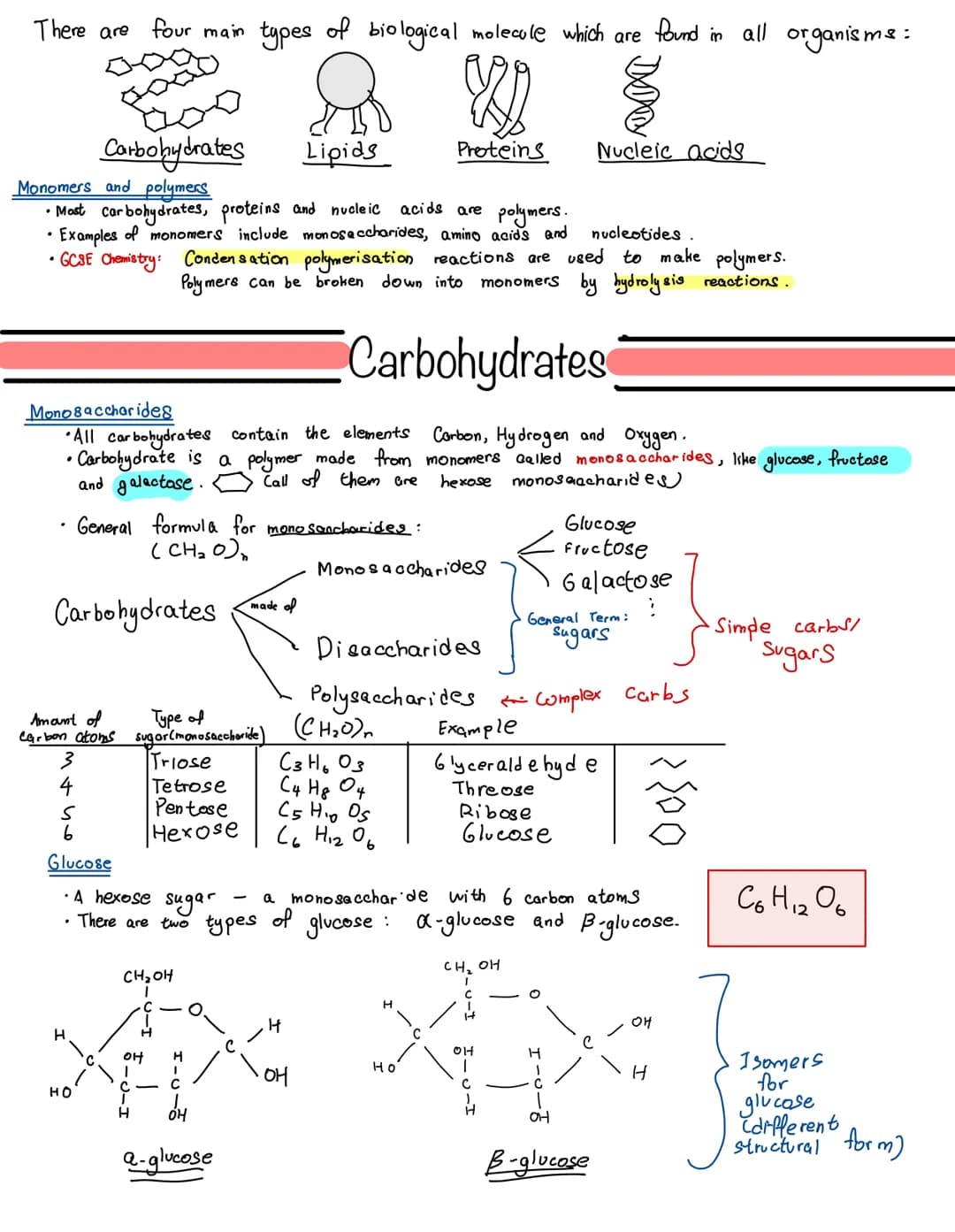 
<p>There are four main types of biological molecules that are found in all organisms:</p>
<h2 id="proteins">Proteins</h2>
<p>Most carbohydr