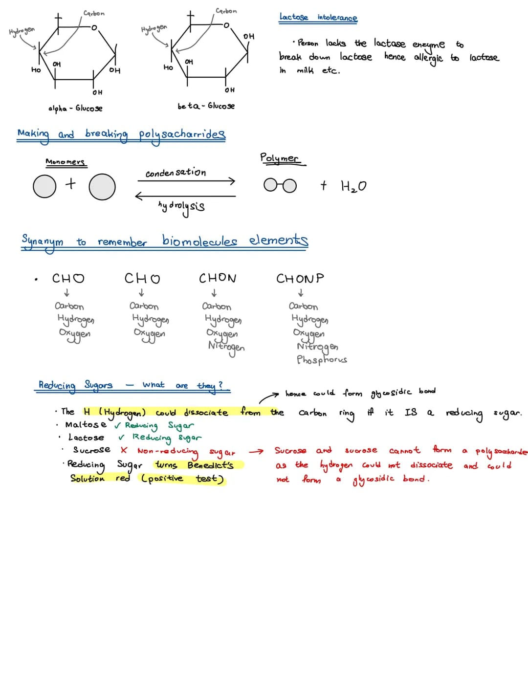 
<p>There are four main types of biological molecules that are found in all organisms:</p>
<h2 id="proteins">Proteins</h2>
<p>Most carbohydr