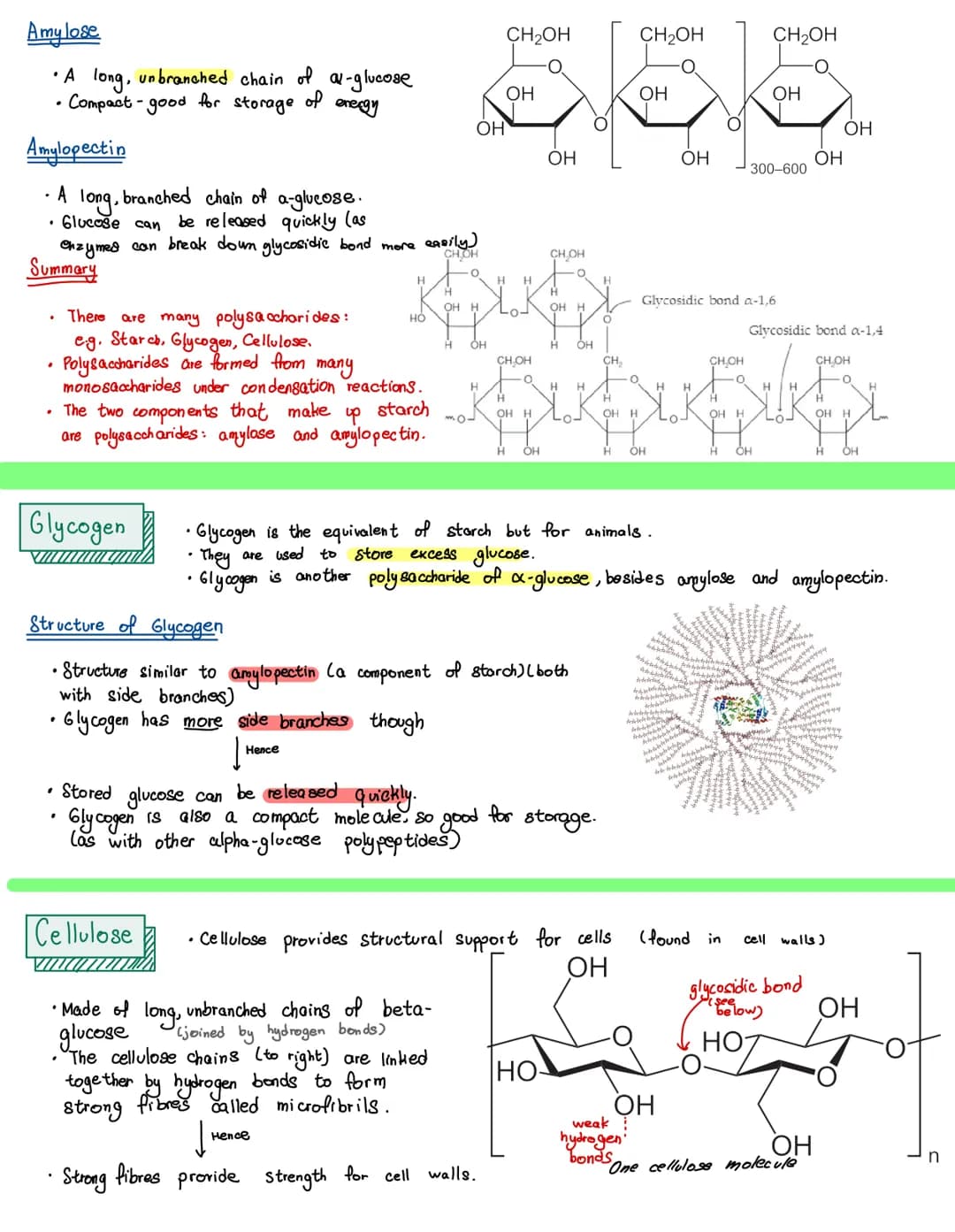 
<p>There are four main types of biological molecules that are found in all organisms:</p>
<h2 id="proteins">Proteins</h2>
<p>Most carbohydr