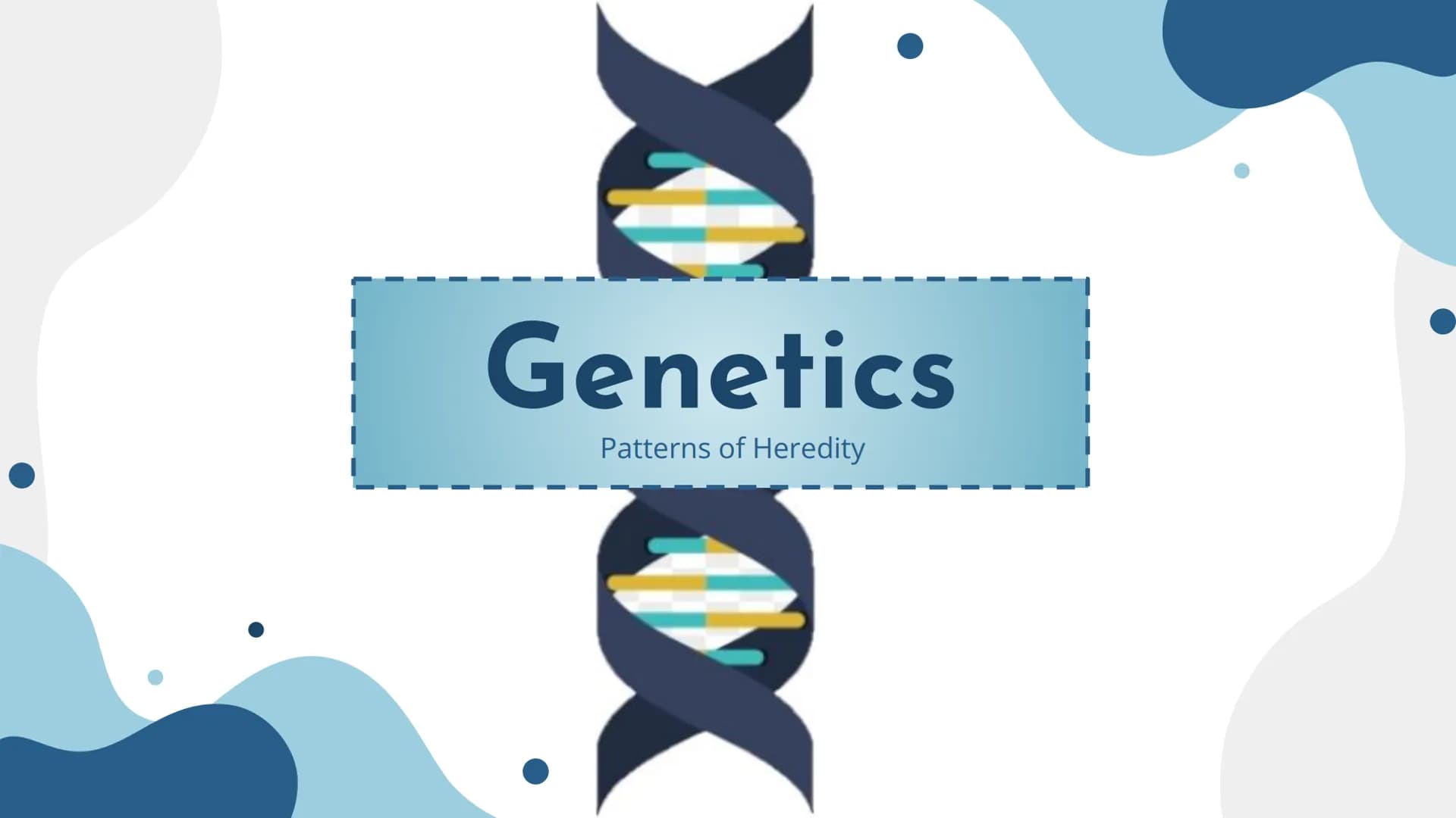 Genetics
Patterns of Heredity Genetics
Genetics- The study of how heritable traits
are transmitted from parents to offspring.
Heredity- The 