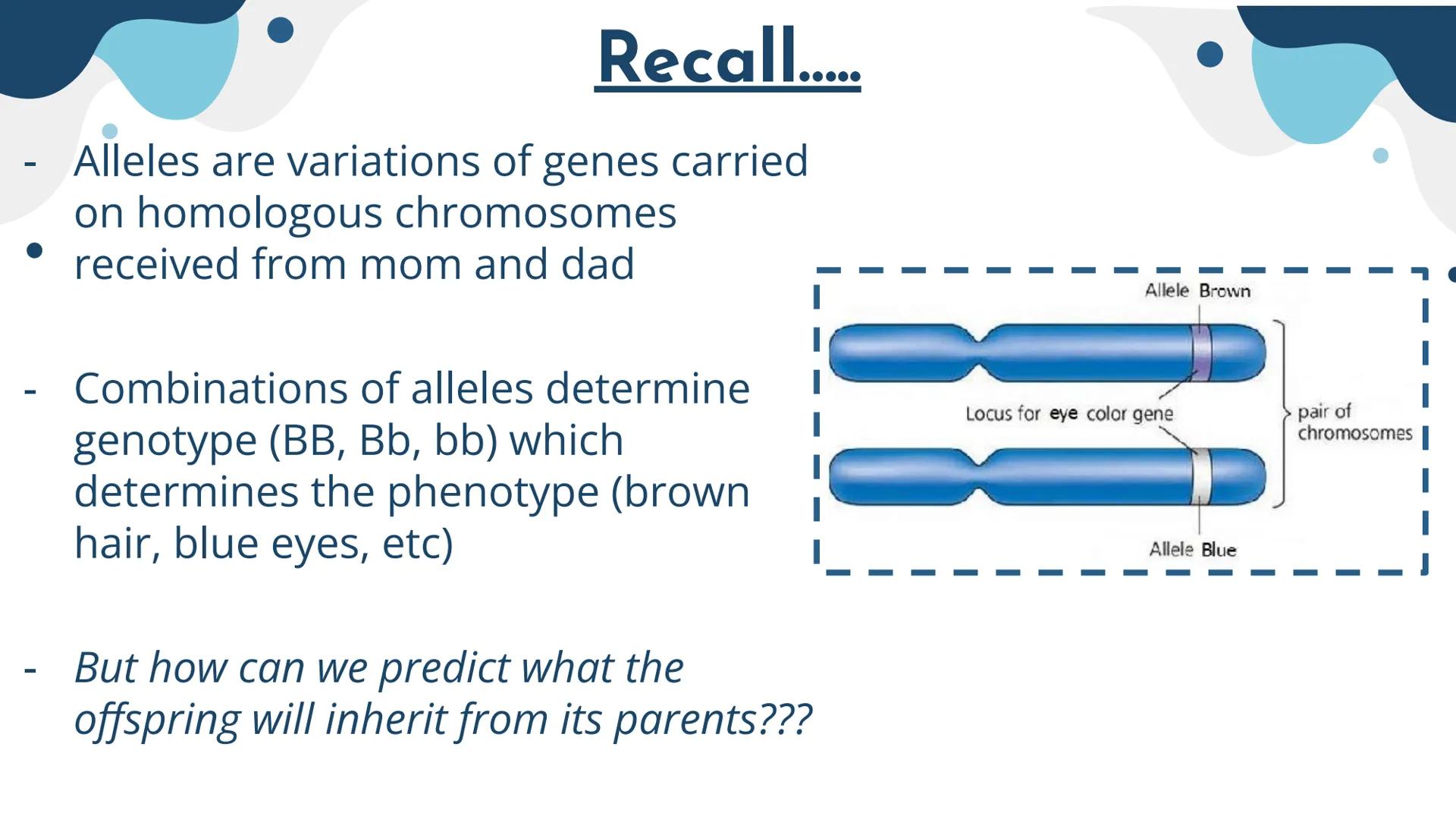 Genetics
Patterns of Heredity Genetics
Genetics- The study of how heritable traits
are transmitted from parents to offspring.
Heredity- The 