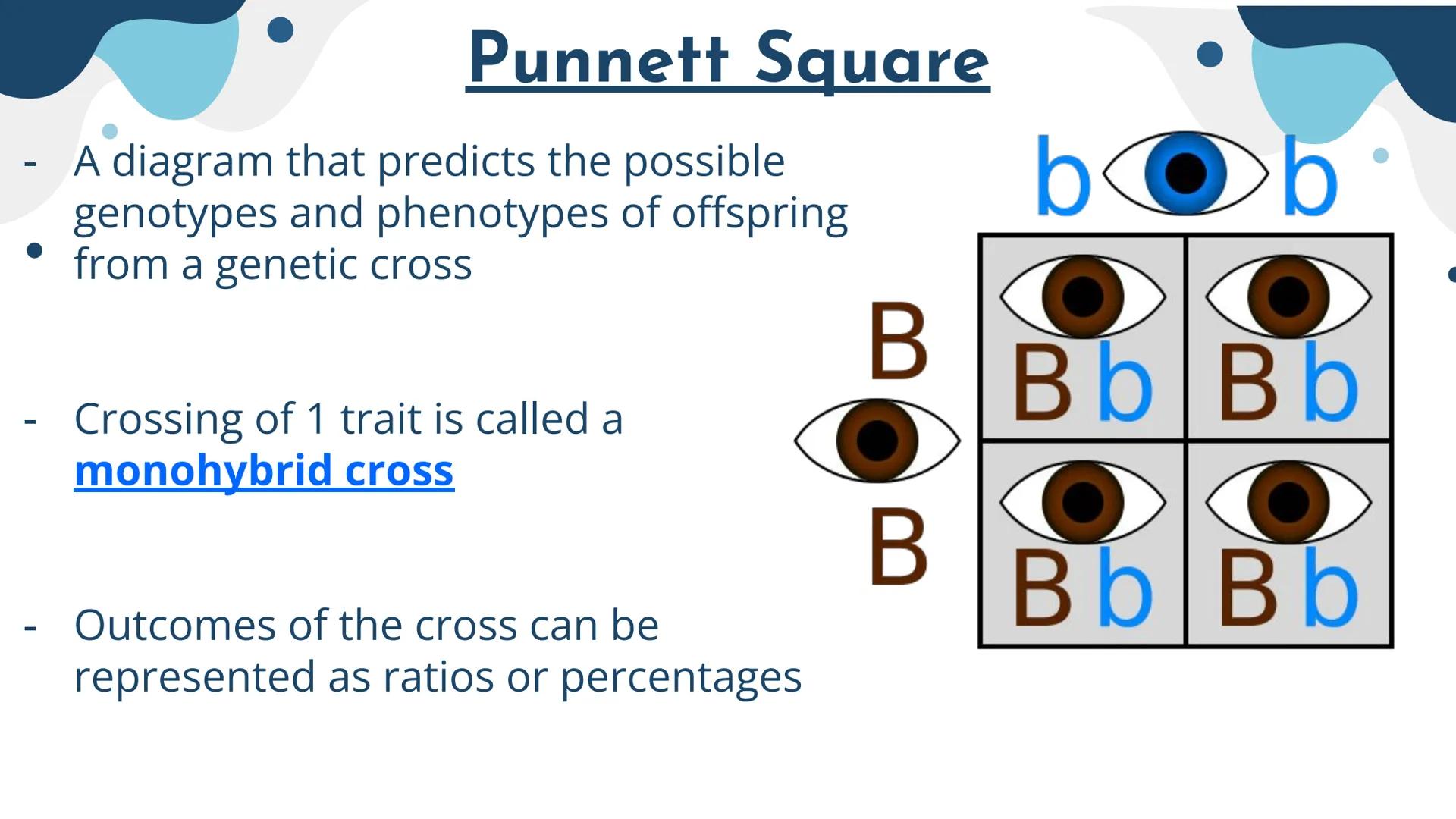 Genetics
Patterns of Heredity Genetics
Genetics- The study of how heritable traits
are transmitted from parents to offspring.
Heredity- The 