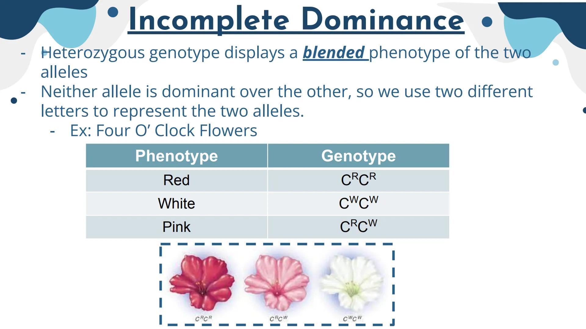 Genetics
Patterns of Heredity Genetics
Genetics- The study of how heritable traits
are transmitted from parents to offspring.
Heredity- The 