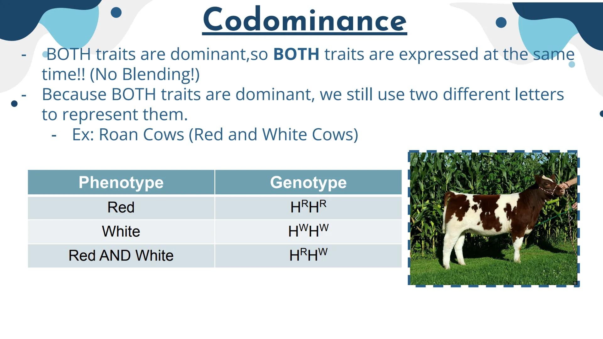 Genetics
Patterns of Heredity Genetics
Genetics- The study of how heritable traits
are transmitted from parents to offspring.
Heredity- The 