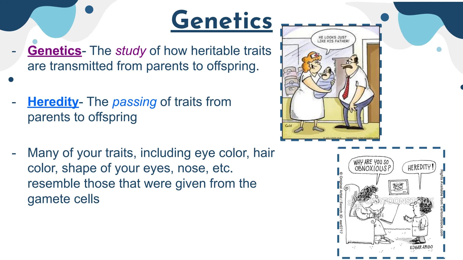 Genetics
Patterns of Heredity Genetics
Genetics- The study of how heritable traits
are transmitted from parents to offspring.
Heredity- The 