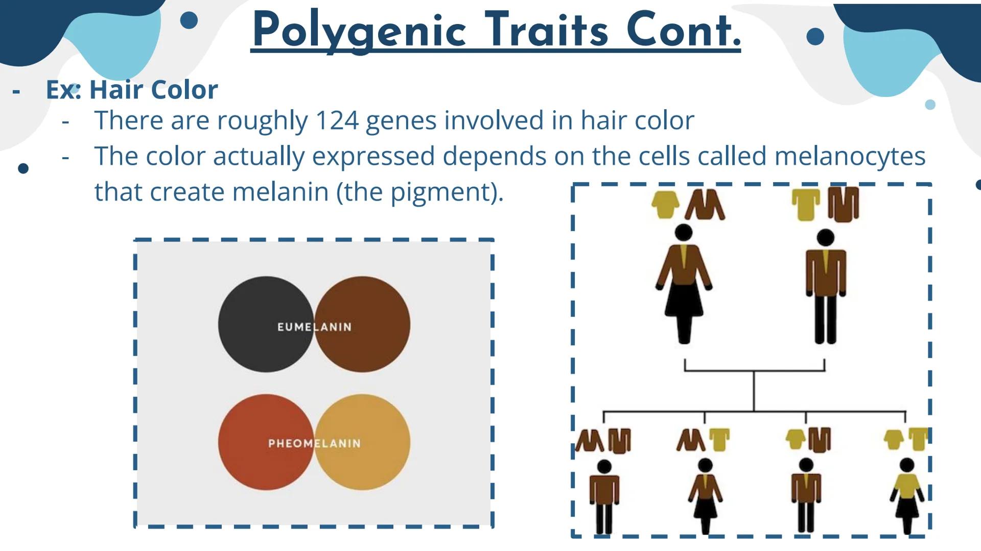 Genetics
Patterns of Heredity Genetics
Genetics- The study of how heritable traits
are transmitted from parents to offspring.
Heredity- The 