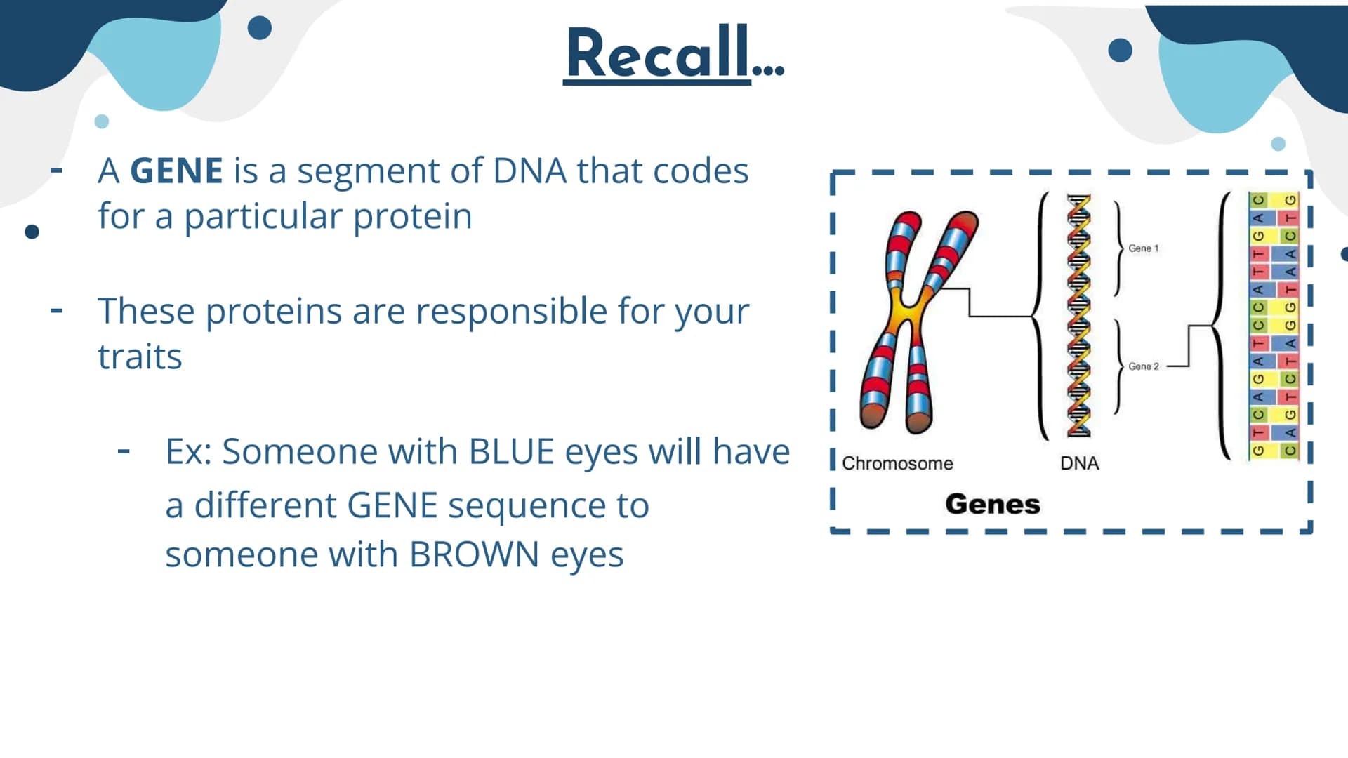 Genetics
Patterns of Heredity Genetics
Genetics- The study of how heritable traits
are transmitted from parents to offspring.
Heredity- The 