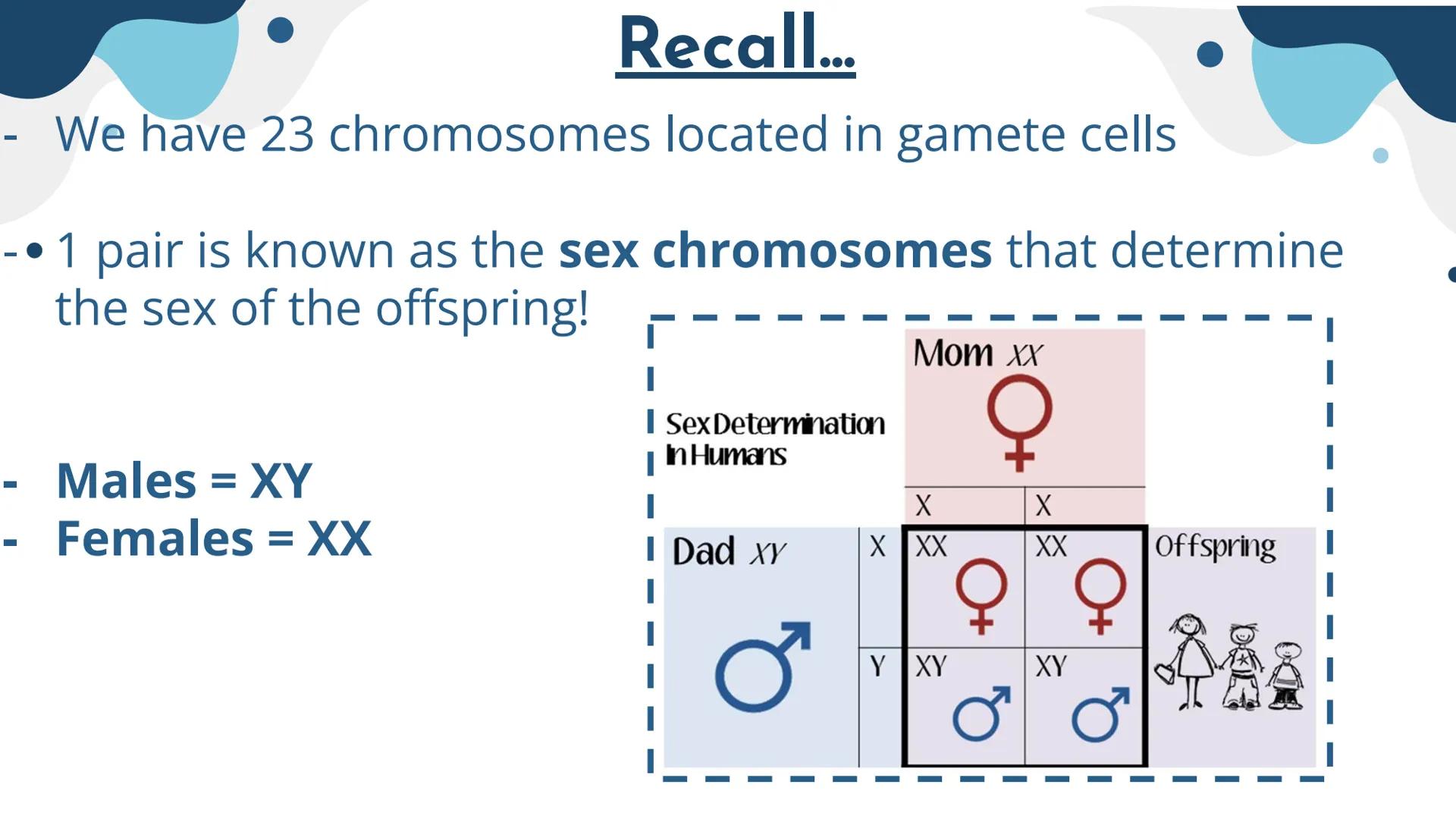 Genetics
Patterns of Heredity Genetics
Genetics- The study of how heritable traits
are transmitted from parents to offspring.
Heredity- The 