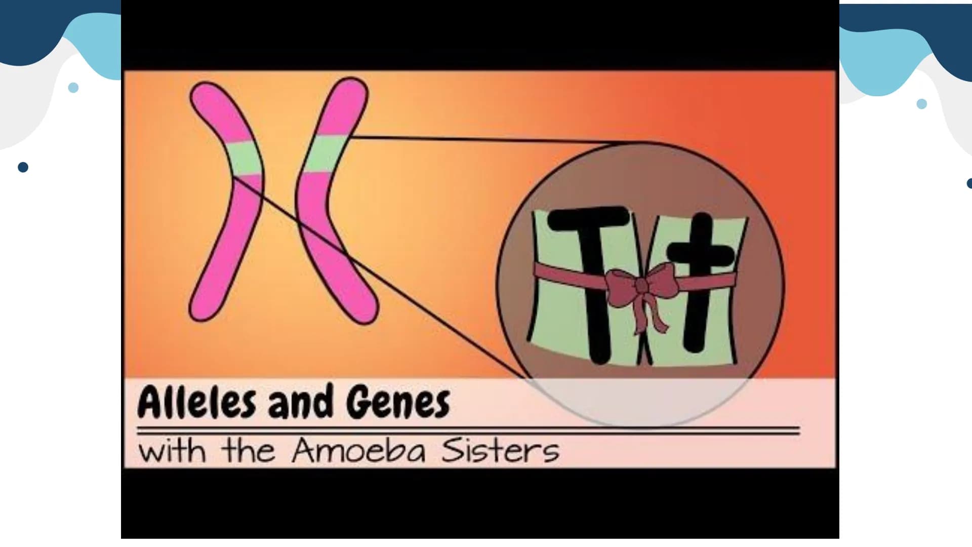 Genetics
Patterns of Heredity Genetics
Genetics- The study of how heritable traits
are transmitted from parents to offspring.
Heredity- The 