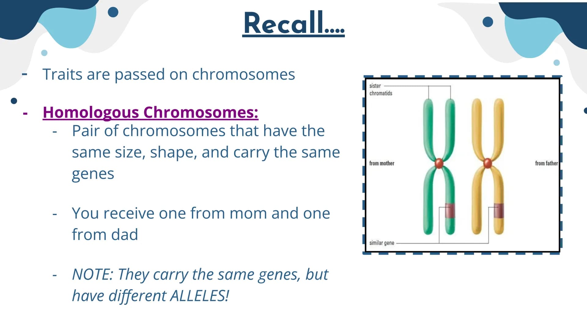 Genetics
Patterns of Heredity Genetics
Genetics- The study of how heritable traits
are transmitted from parents to offspring.
Heredity- The 