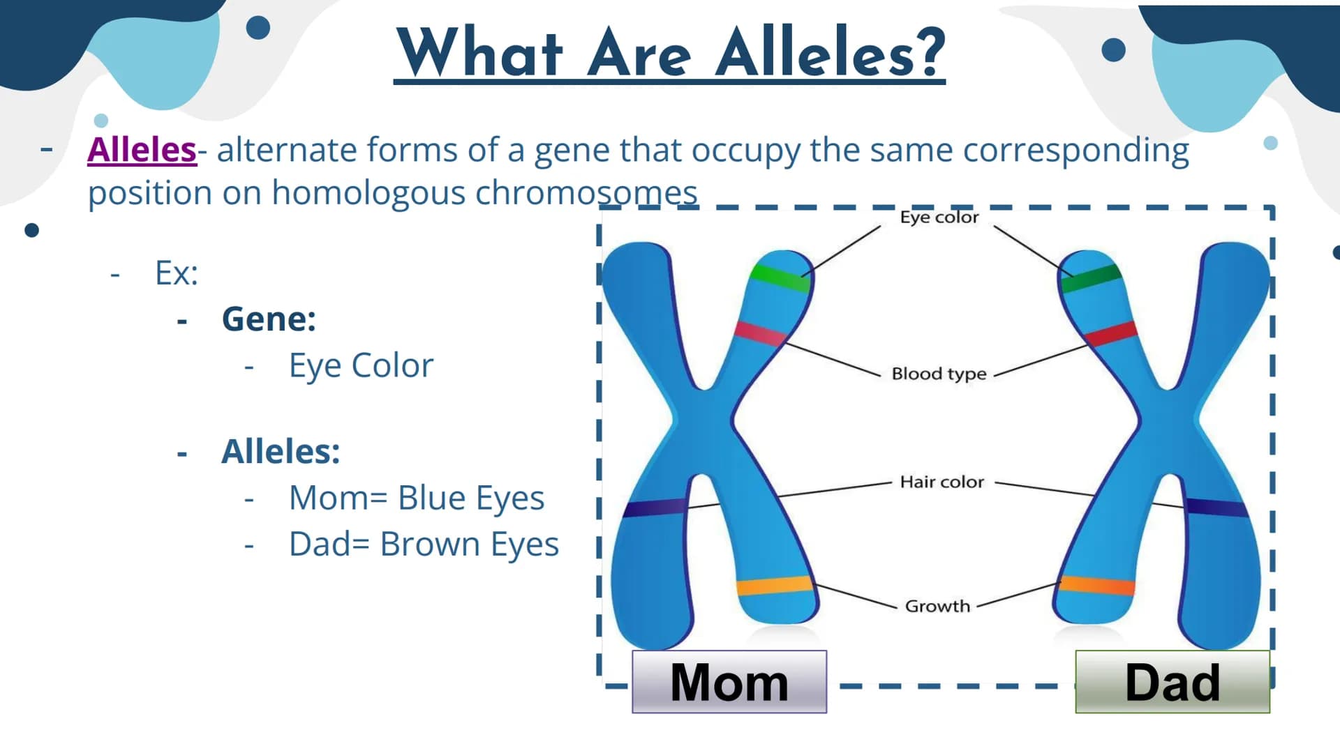 Genetics
Patterns of Heredity Genetics
Genetics- The study of how heritable traits
are transmitted from parents to offspring.
Heredity- The 