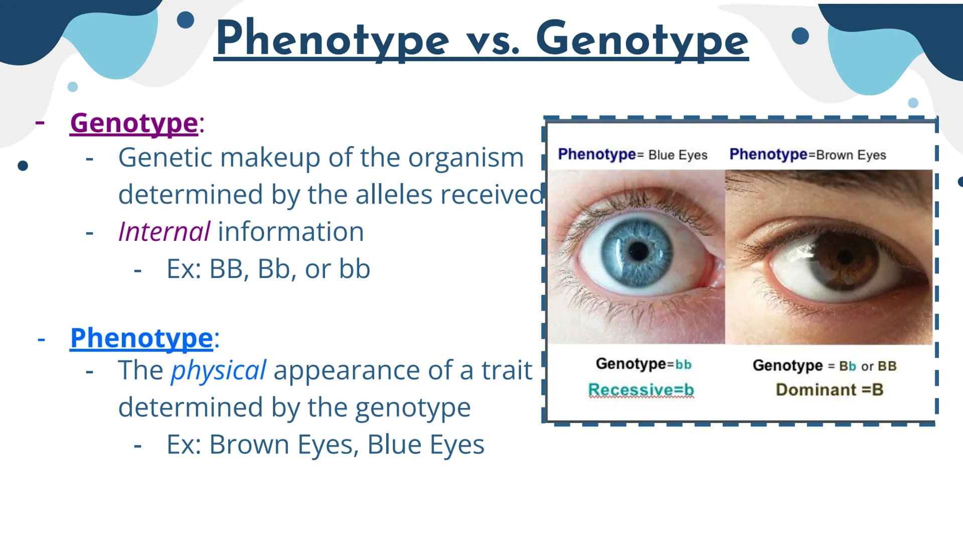 Genetics
Patterns of Heredity Genetics
Genetics- The study of how heritable traits
are transmitted from parents to offspring.
Heredity- The 