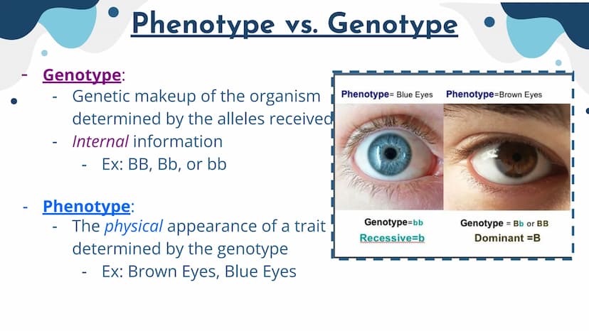 Genetics
Patterns of Heredity Genetics
Genetics- The study of how heritable traits
are transmitted from parents to offspring.
Heredity- The 