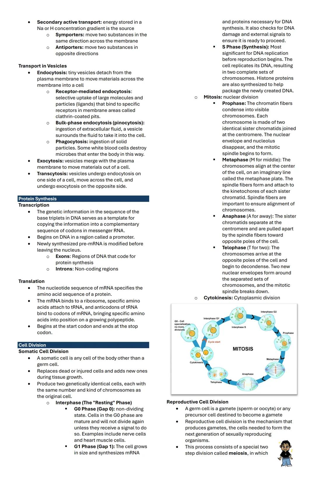 INTRODUCTION TO MICROSCOPY
Microscopy is an essential skill for medical laboratory
scientists, enabling visualization of cells and tissues t