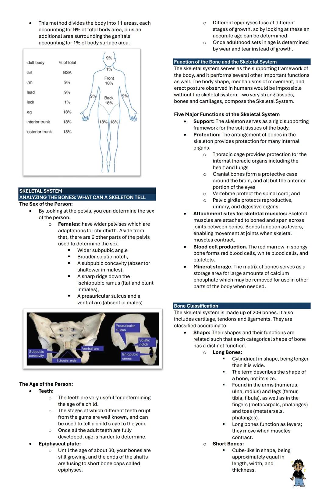 INTRODUCTION TO MICROSCOPY
Microscopy is an essential skill for medical laboratory
scientists, enabling visualization of cells and tissues t