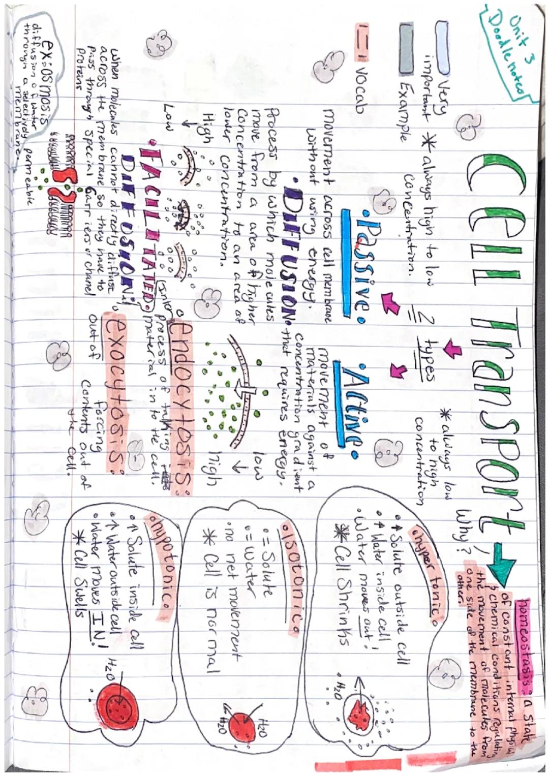 Unit 3
Boodle notes
--Cellst
Example
very important
Vocab
WHAT is inside A CELL
nucleus
Stores cells genetic
Material (DNAKNA).
Cytoplasm:
f