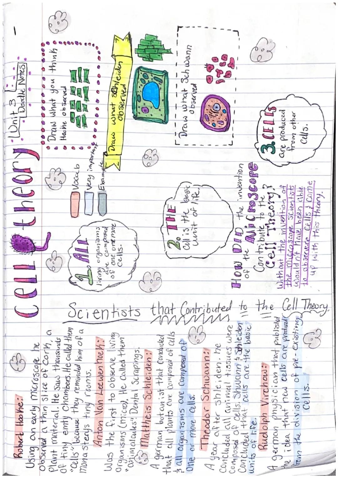 Unit 3
Boodle notes
--Cellst
Example
very important
Vocab
WHAT is inside A CELL
nucleus
Stores cells genetic
Material (DNAKNA).
Cytoplasm:
f