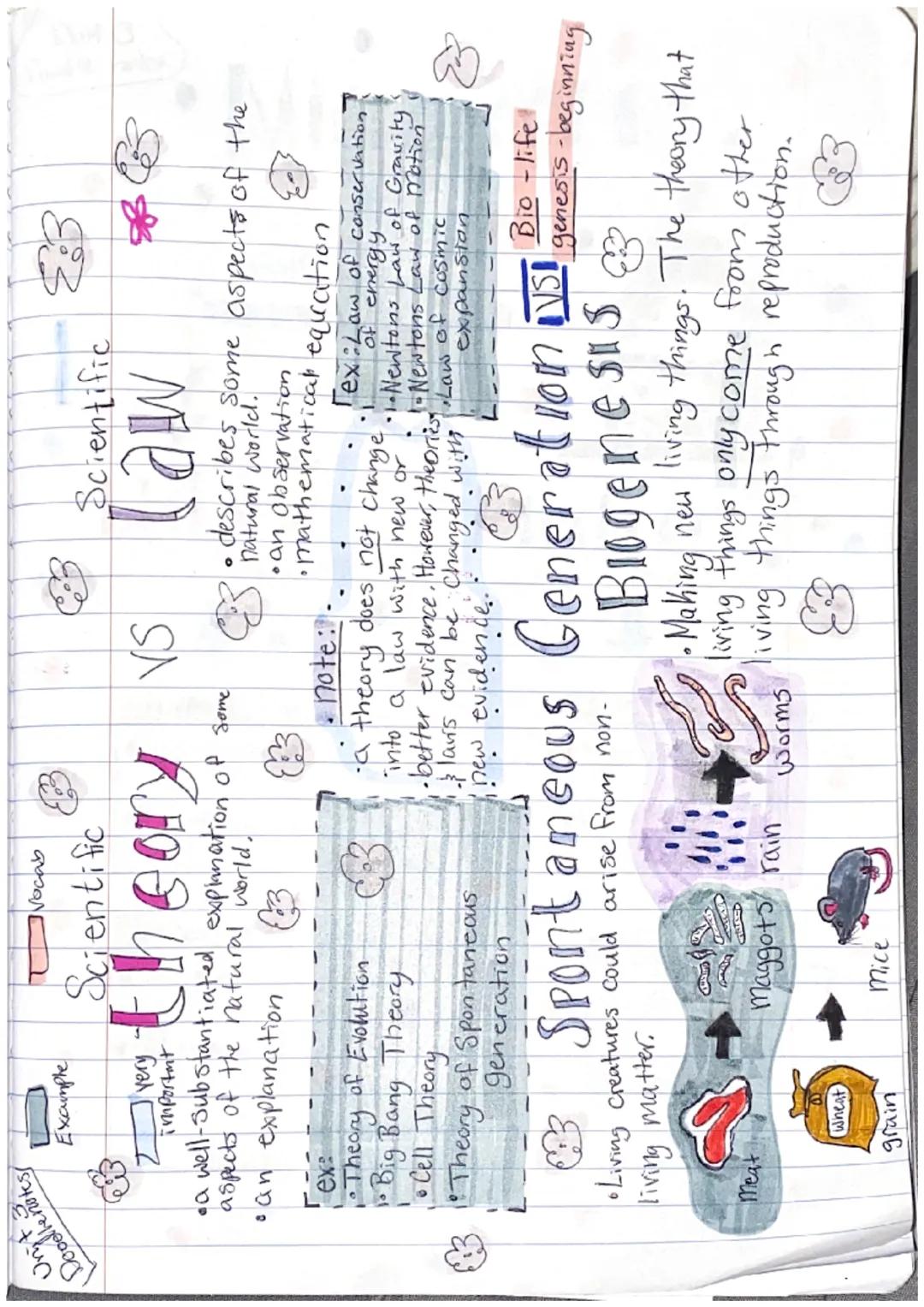 Unit 3
Boodle notes
--Cellst
Example
very important
Vocab
WHAT is inside A CELL
nucleus
Stores cells genetic
Material (DNAKNA).
Cytoplasm:
f