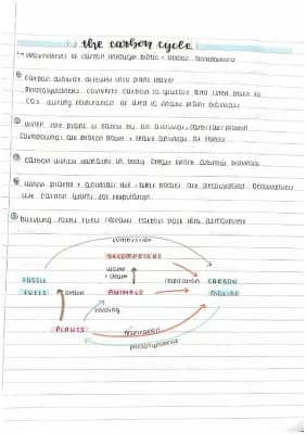 Know gcse biology carbon & nitrogen cycle  thumbnail